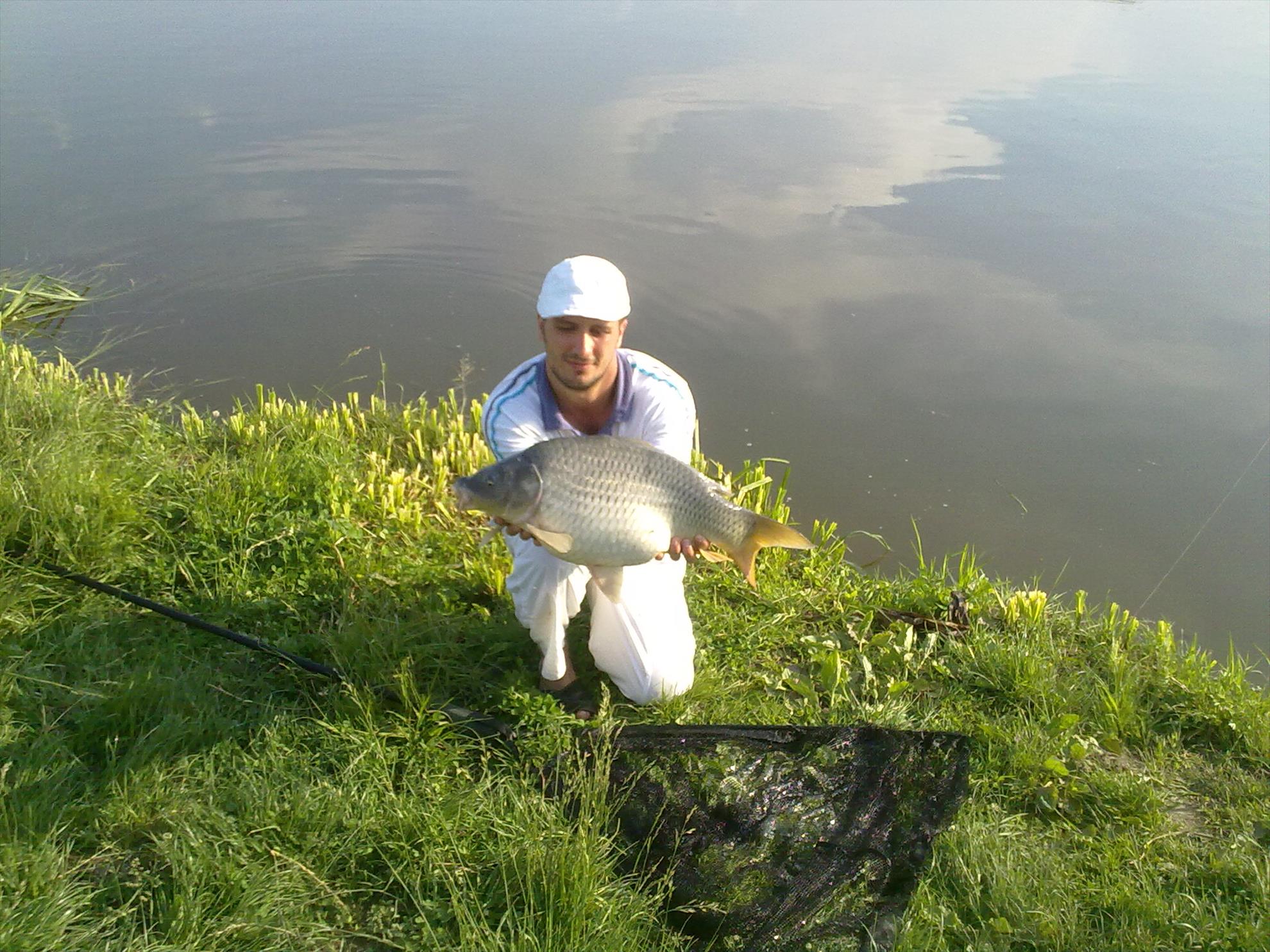 moara 2014 - 22052011806.jpg